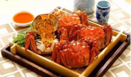 沧州吃瓜爆料事件真相,揭秘背后真相与网络舆论的反思